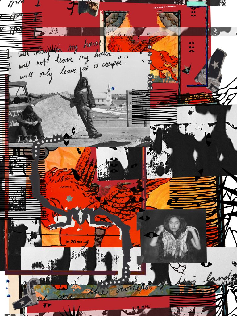 collage red orange horse text black white photos
