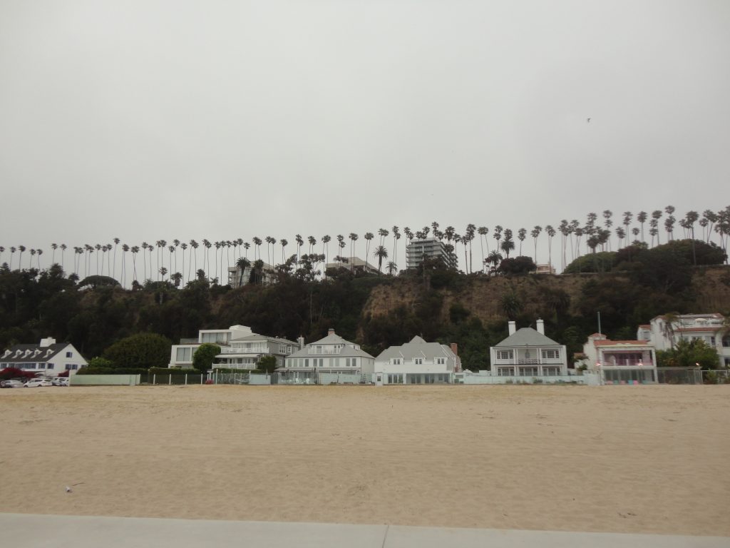 beach palm trees sand houses