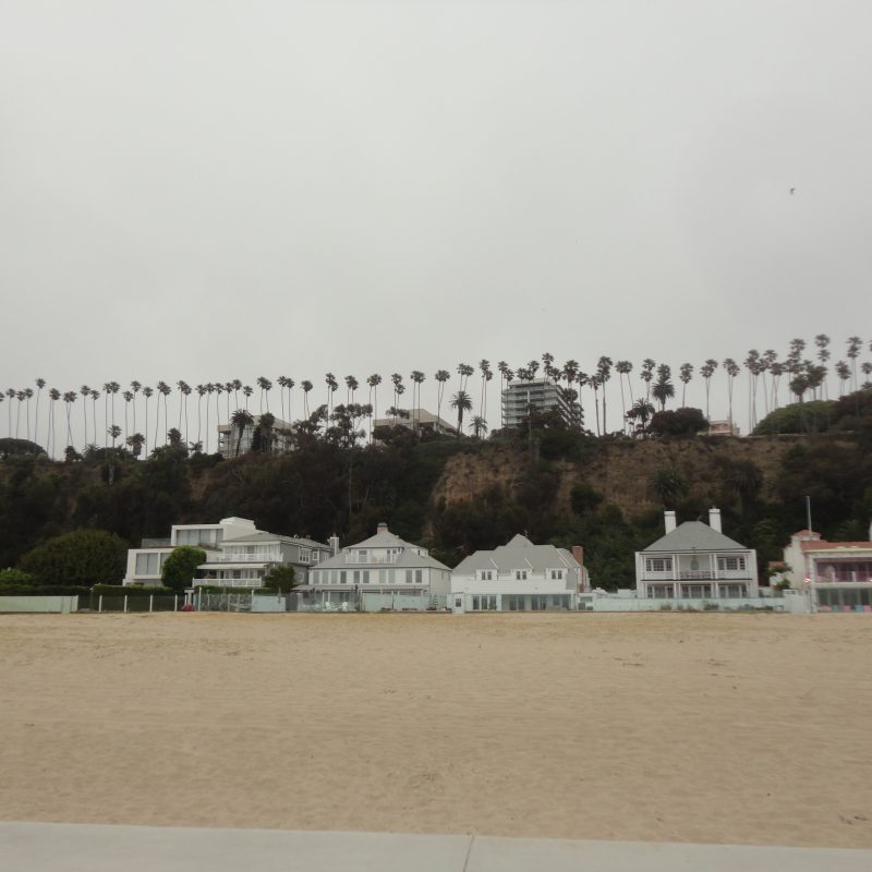 beach palm trees sand houses