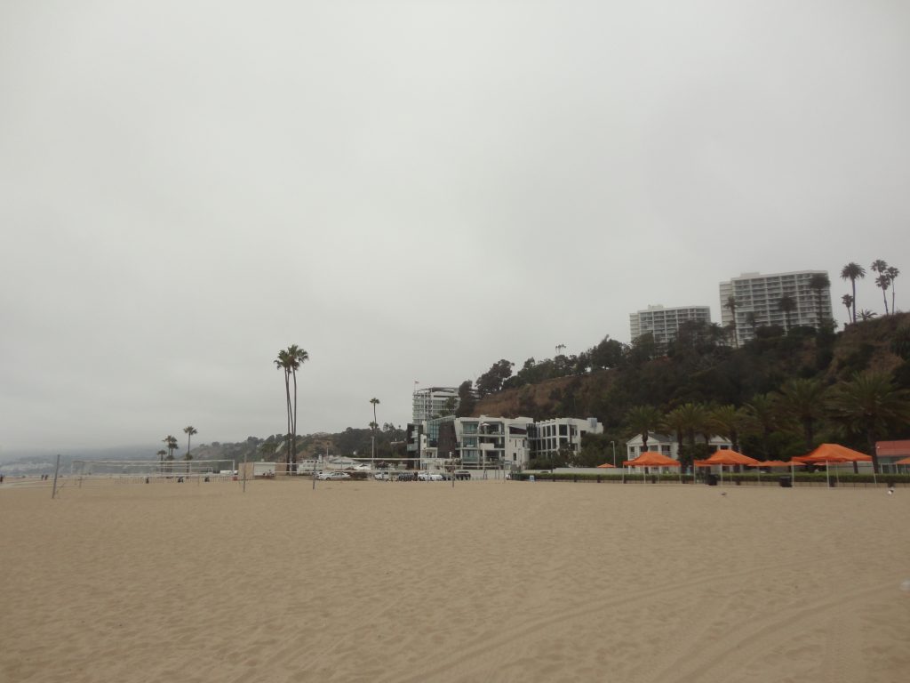 beach palm trees sand buildings
