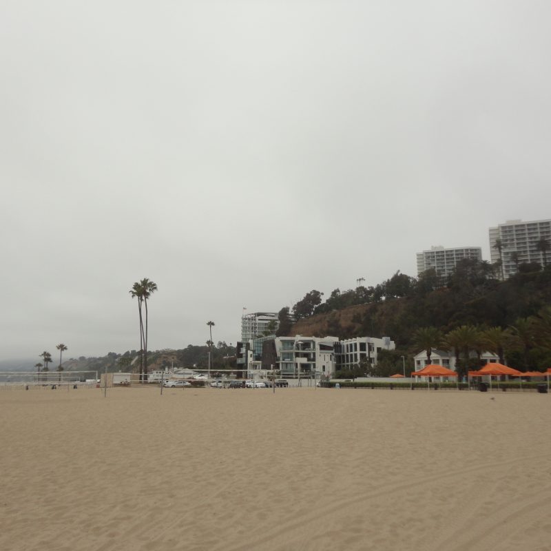 beach palm trees sand buildings