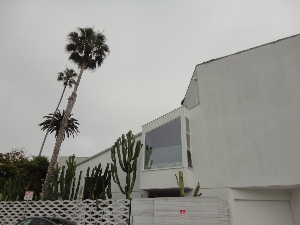 white building cactus palm tree