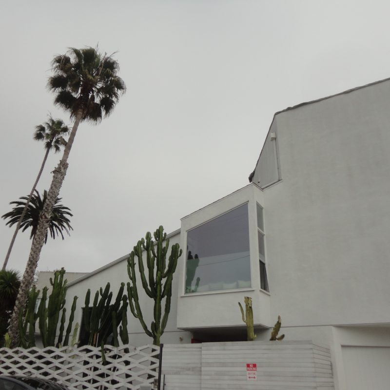 white building cactus palm tree