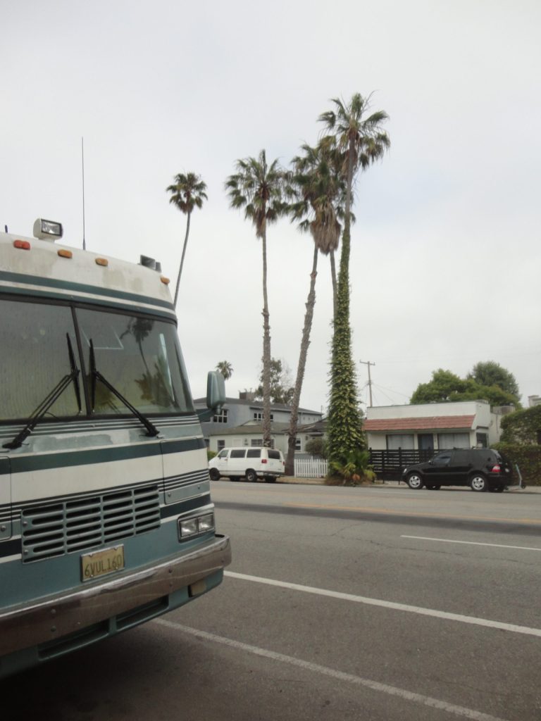 van street palm trees