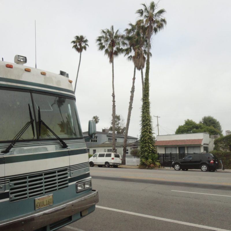 van street palm trees
