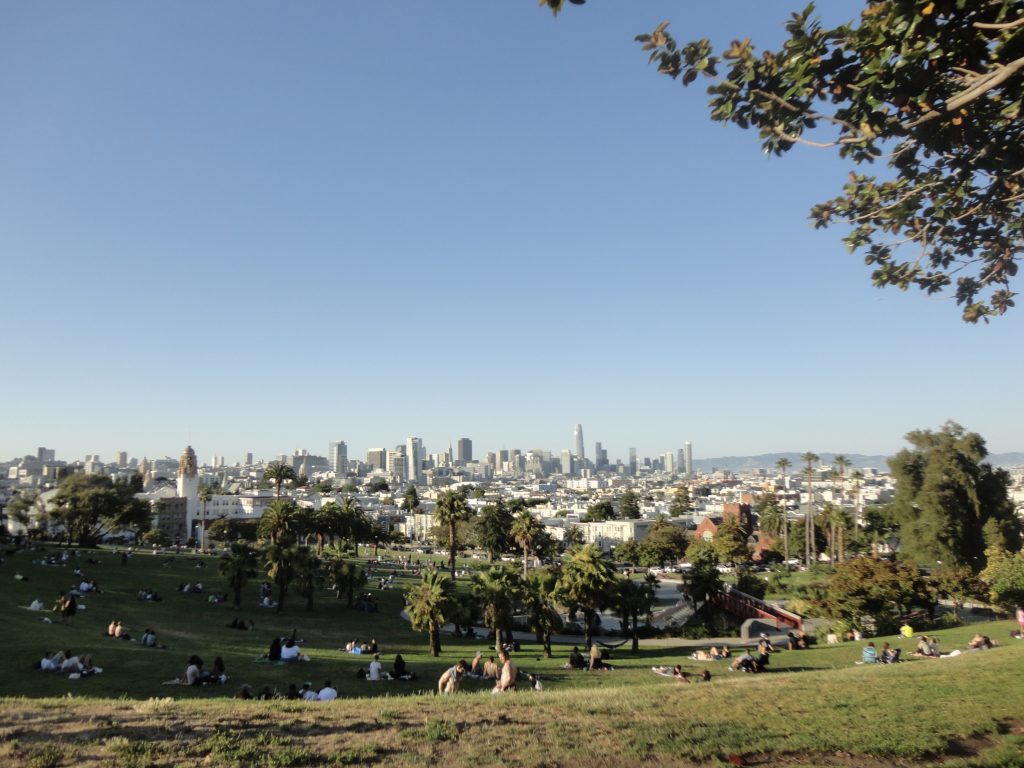 park trees buildings