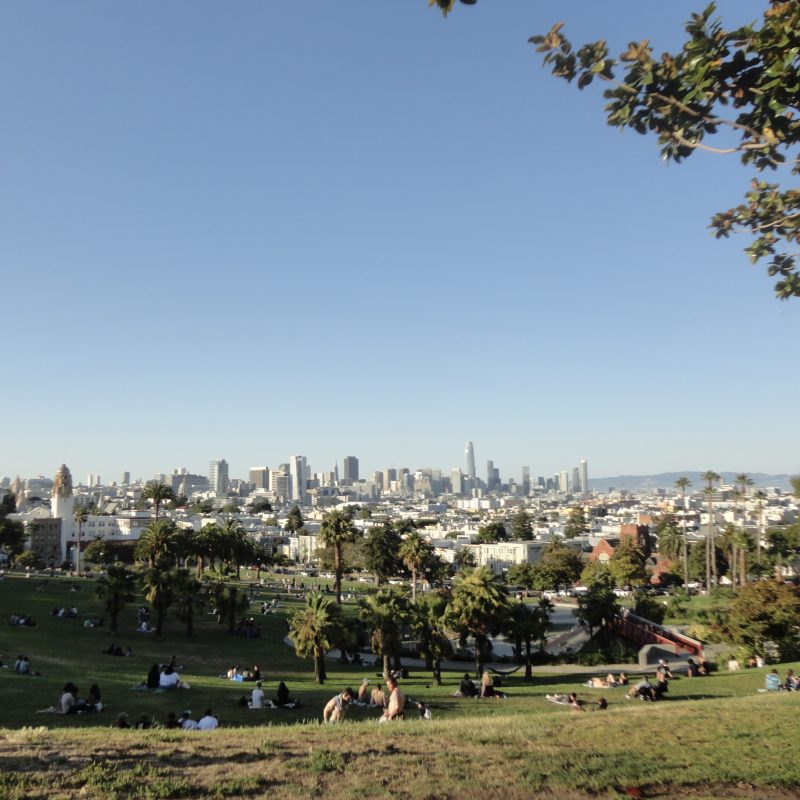 park trees buildings