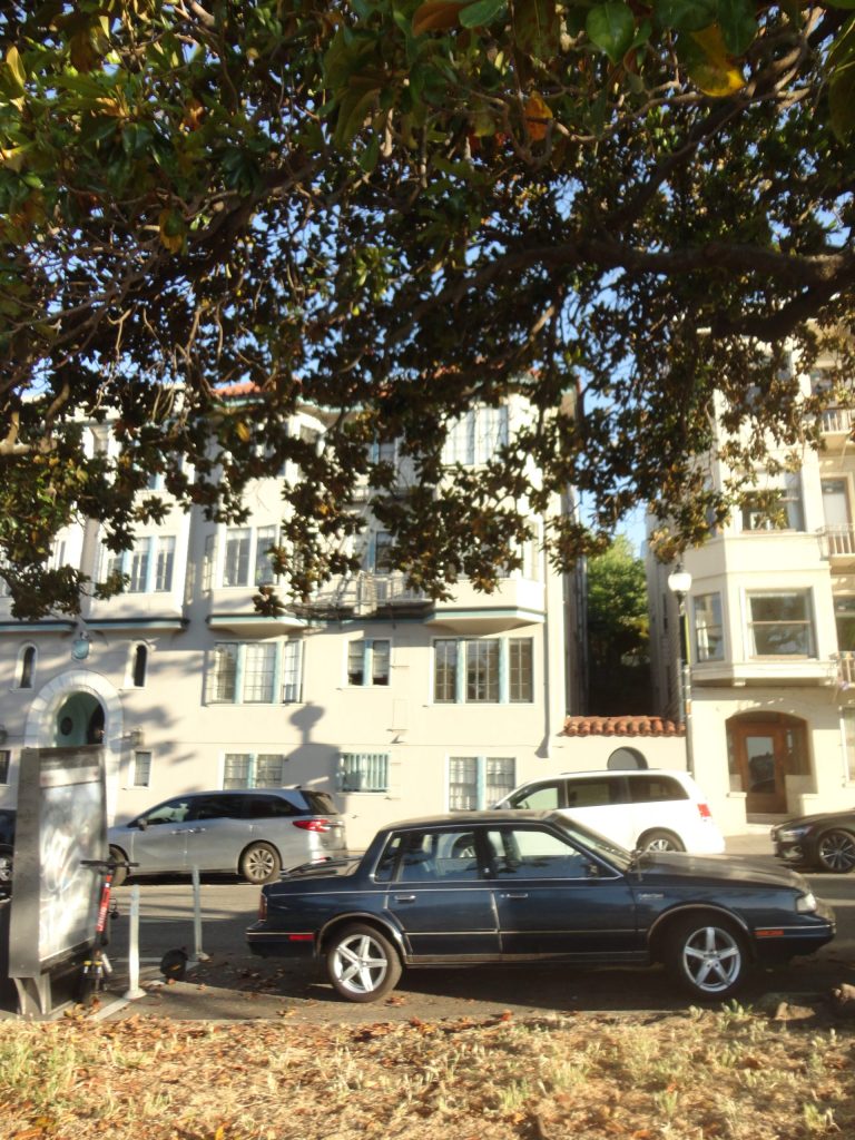 car street tree buildings