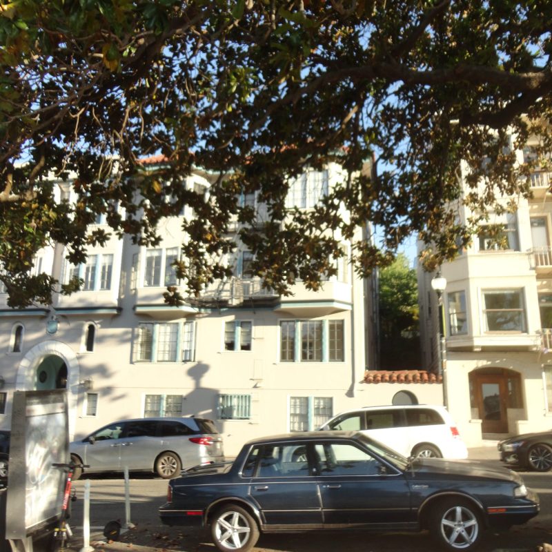 car street tree buildings